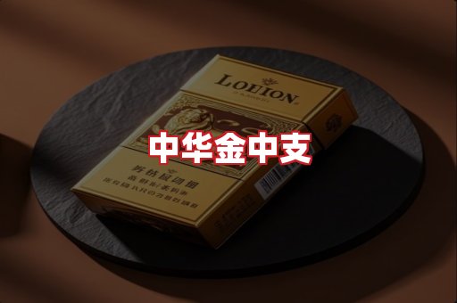 中华金中支